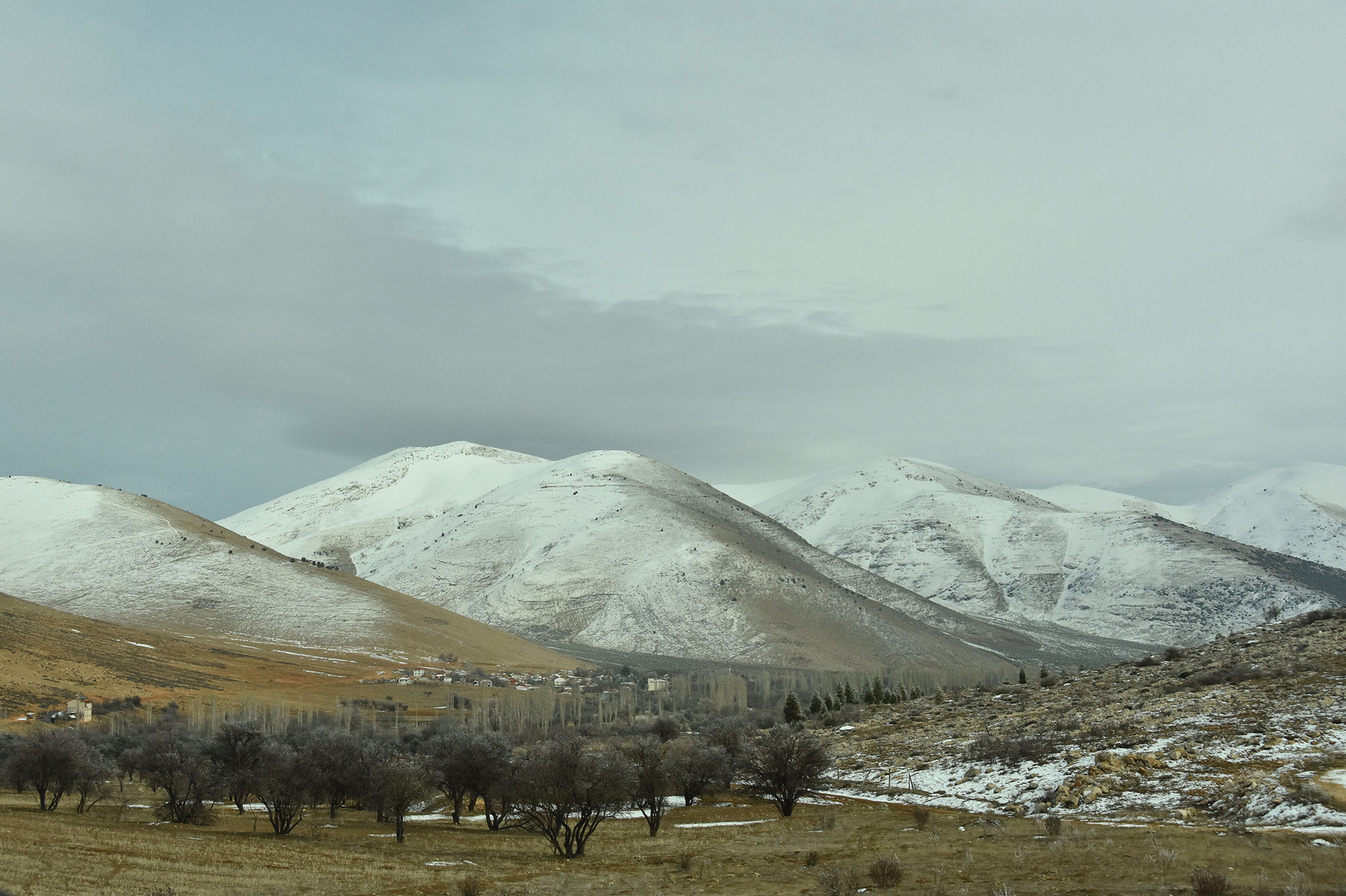 Elmalı